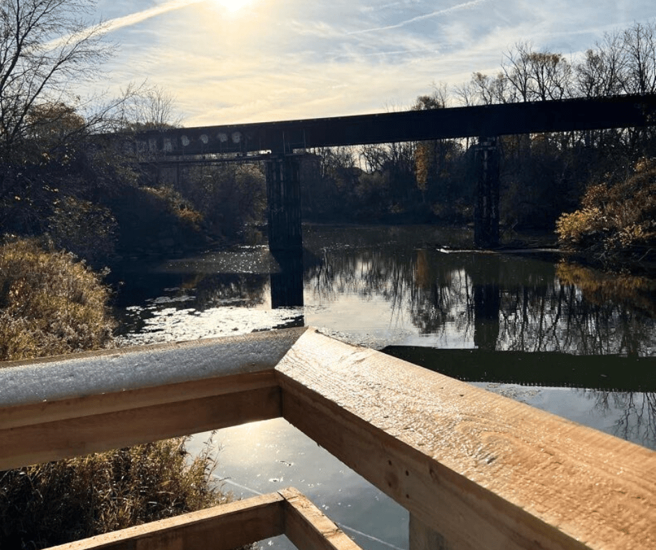 Wetlands Train Bridge